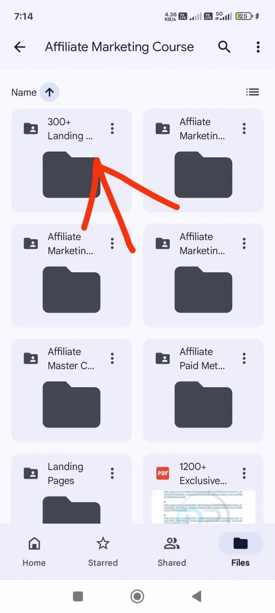 Google Drive Vault Content